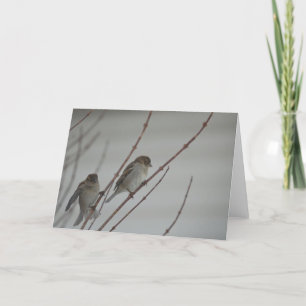 Tiergruß-Karte des vogel-Spatzen-1 Karte