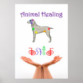 Tierheilung Poster (Vorne)