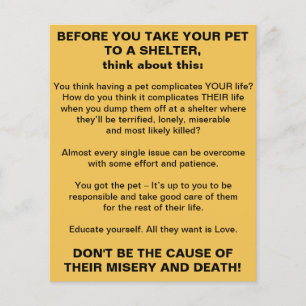 Tierheim Info Flyer