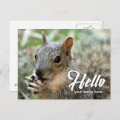 Tierhörnchen lustig niedliche Hello-Postkarte Postkarte (Vorne/Hinten)