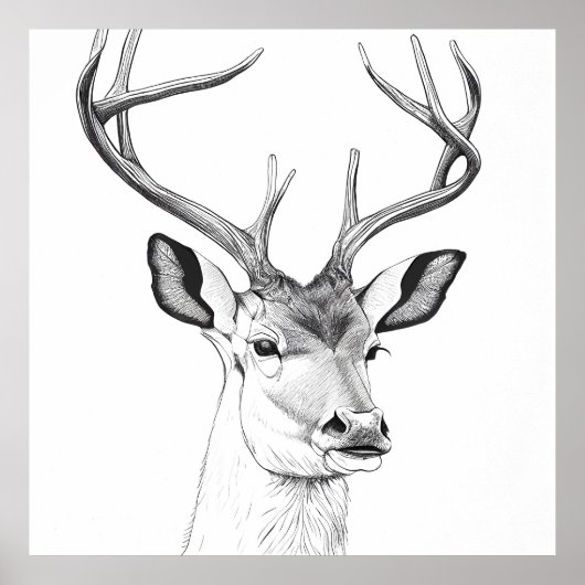 Tierillustrierung im Wildtier Zeichnend Kunst Poster (Vorne)