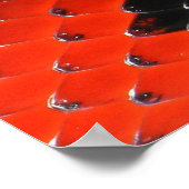 Tierische Drucke - 1 (Ecke)