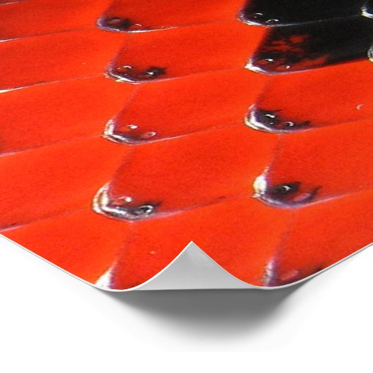 Tierische Drucke - 1 (Ecke)