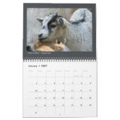 Tierische Fotos - 12-monatiger Kalender (Jan 2027)