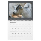 Tierische Fotos - 12-monatiger Kalender (Jan 2026)