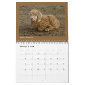 Tierische Fotos - 12-monatiger Kalender (Feb 2026)