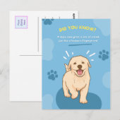 Tierische Fun-Fakten Postkarten (Vorne/Hinten)