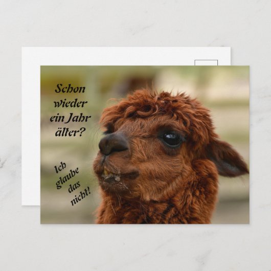 Tierische Grüẞe Alpaka braun Spuckt    Einladungspostkarte (Vorne/Hinten)