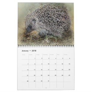 Tierische Haustiere Wilde Liebe Schicksal Schicksa Kalender