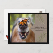 Tierische Liebe - Hund Postkarte (Vorne/Hinten)