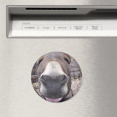 Tierische Linie - burriquito Arre Magnet (In Situ (Geschirrspüler))