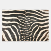 Tierische Zebra-Umhüllungspapier flache Blätter 3 (Vorderseite)