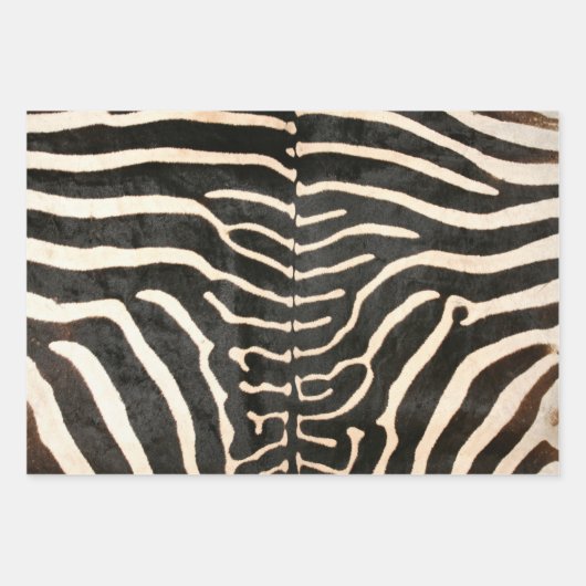 Tierische Zebra-Umhüllungspapier flache Blätter 3 (Vorderseite)