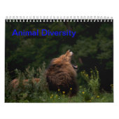 Tierisches Diversity Kalender (Titelbild)