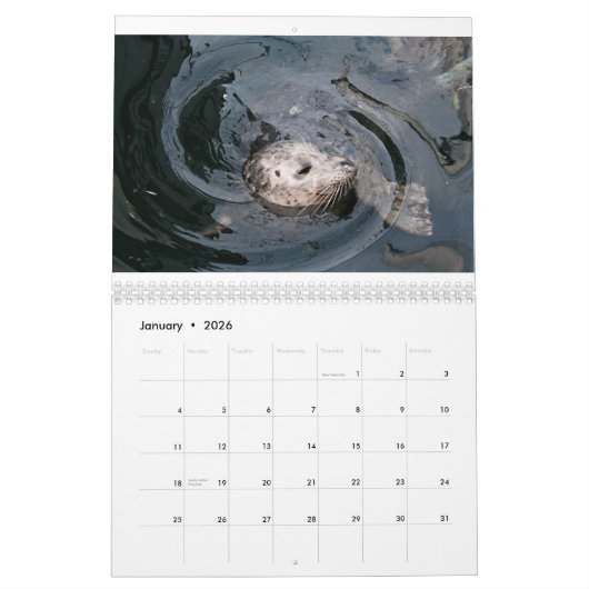 Tierisches Diversity Kalender (Jan 2026)