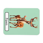 Tierisches Flashcard Deer/Fawn, flexibles Foto Mag Magnet (Horizontal)