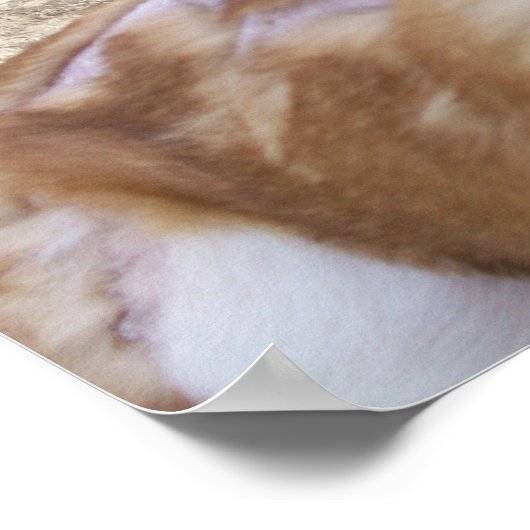 Tierisches grausames Poster (Ecke)