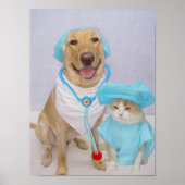 Tierisches Poster (Vorne)