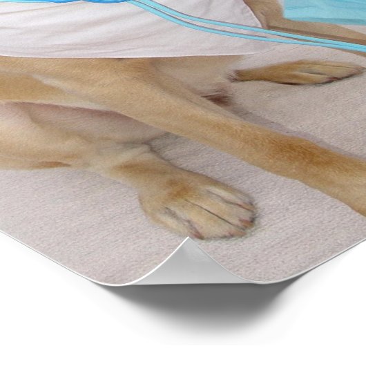 Tierisches Poster (Ecke)