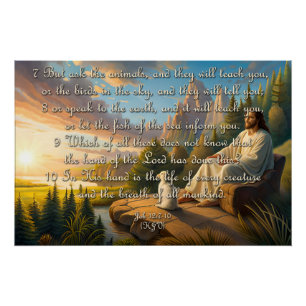 Tierisches Poster - Job 12:7-10