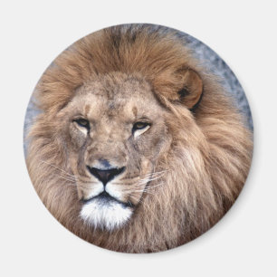 Tierisches wildes 1 magnet