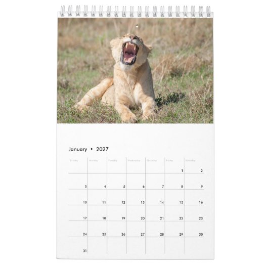 Tierkalender 2021 kalender (Jan 2027)