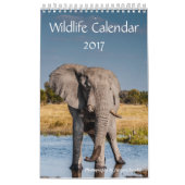 Tierkalender 2021 kalender (Titelbild)