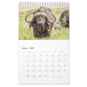 Tierkalender 2021 kalender (Mär 2027)