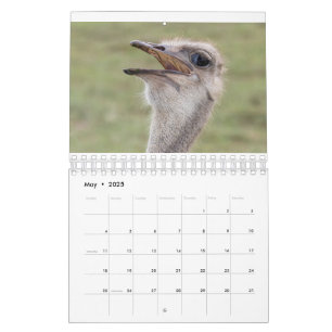 Tierkalender 2026 kalender