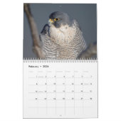 Tierkalender 2026 kalender (Feb 2026)