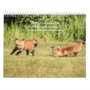 Tierkalender 2026 kalender