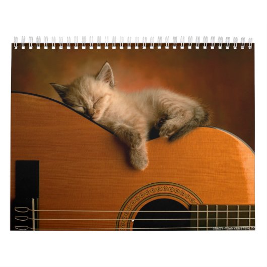 Tierkalender 7 kalender (Titelbild)