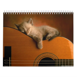 Tierkalender 7 kalender