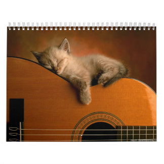 Tierkalender 7 kalender