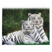 Tierkalender 8 kalender (Titelbild)