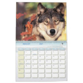Tierkalender 8 kalender (Feb 2027)