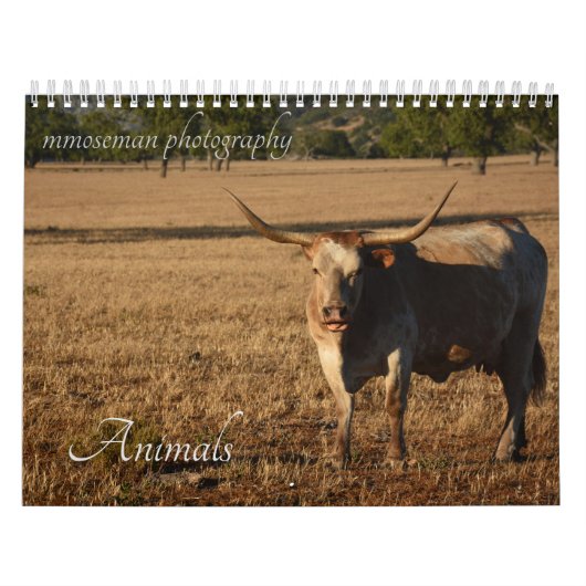 Tierkalender Kalender (Titelbild)