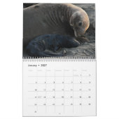 Tierkalender Kalender (Jan 2027)