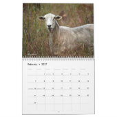 Tierkalender Kalender (Feb 2027)