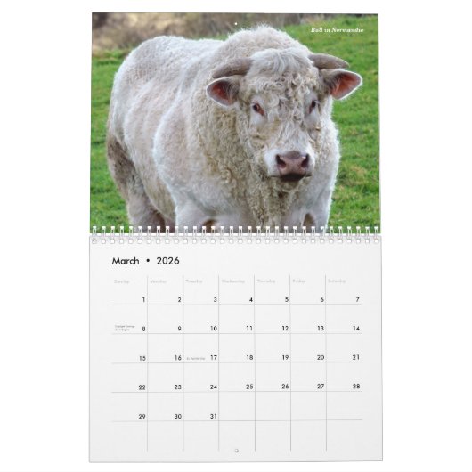 Tierkalender Kalender (Mär 2026)