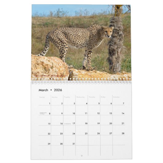 Tierkalender Kalender (Mär 2026)