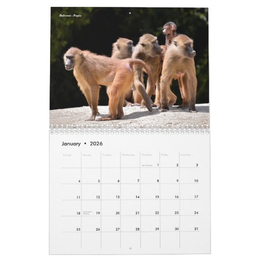 Tierkalender Kalender (Jan 2026)