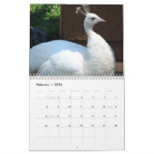 Tierkalender Kalender (Feb 2026)