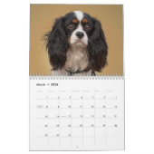 TIERkalender Kalender (Mär 2026)