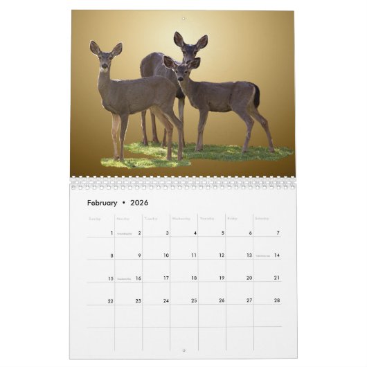 TIERkalender Kalender (Feb 2026)
