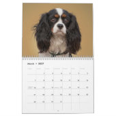 TIERkalender Kalender (Mär 2027)