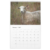 Tierkalender Kalender (Feb 2027)