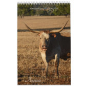 Tierkalender Kalender (Titelbild)