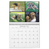 Tierkalender Kalender (Feb 2027)