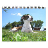 Tierkalender Kalender (Titelbild)
